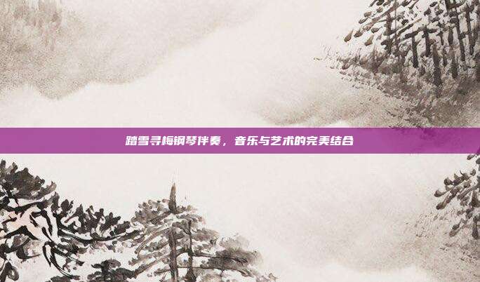 踏雪寻梅钢琴伴奏,音乐与艺术的完美结合