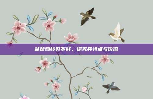琵琶酸枝好不好,探究其特点与价值