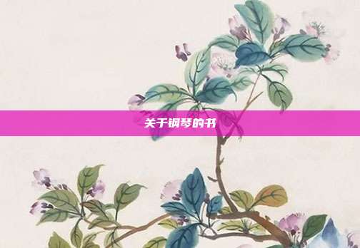 关于钢琴的书