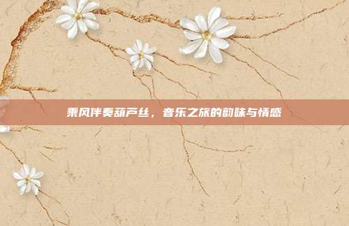 乘风伴奏葫芦丝,音乐之旅的韵味与情感