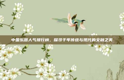 中国乐器人气排行榜,探寻千年传统与现代的交融之美