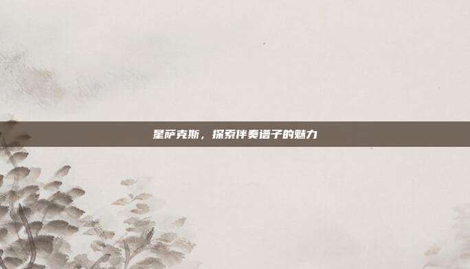 星萨克斯,探索伴奏谱子的魅力