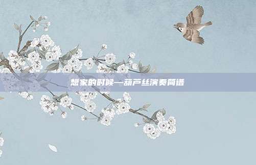 想家的时候—葫芦丝演奏简谱