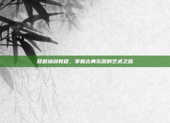 琵琶培训教程，掌握古典乐器的艺术之路