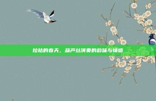 拉祜的春天，葫芦丝演奏的韵味与情感