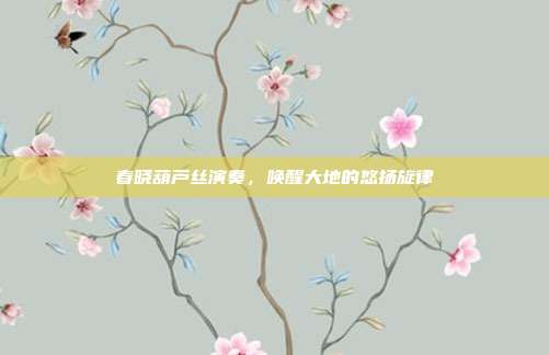 春晓葫芦丝演奏,唤醒大地的悠扬旋律