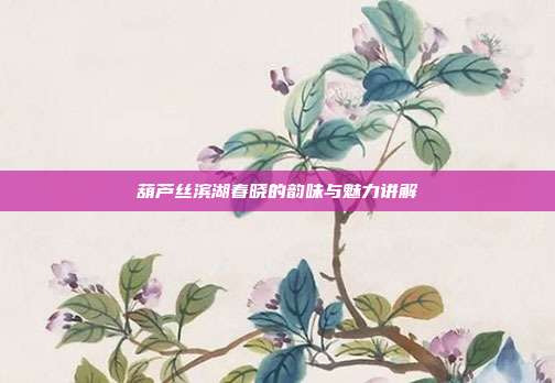 葫芦丝滨湖春晓的韵味与魅力讲解