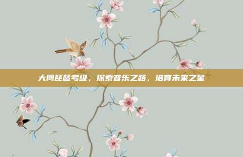 大同琵琶考级,探索音乐之路,培育未来之星