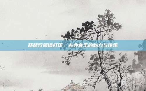 琵琶行简谱打印，古典音乐的魅力与传承