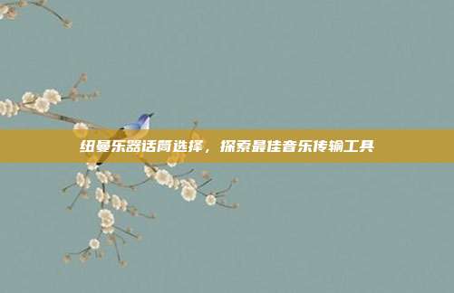 纽曼乐器话筒选择,探索最佳音乐传输工具