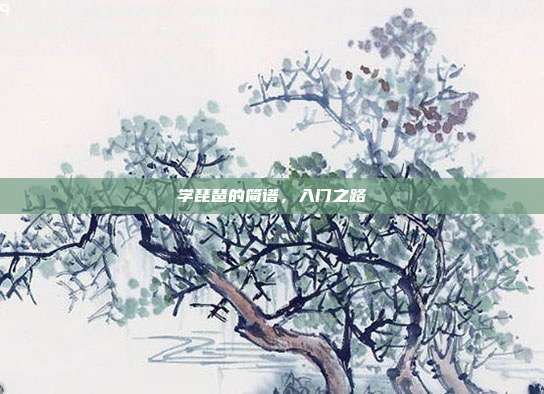 学琵琶的简谱,入门之路