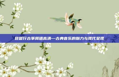 琵琶行古筝简谱高清—古典音乐的魅力与现代呈现