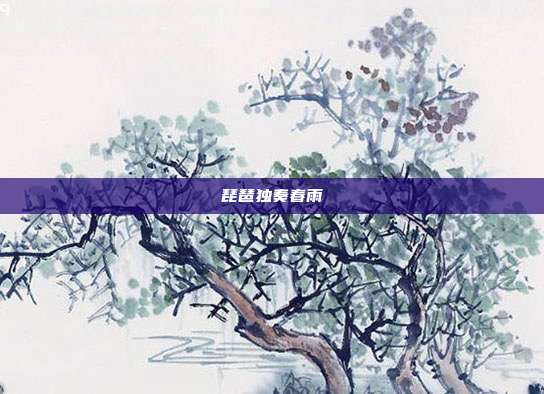 琵琶独奏春雨