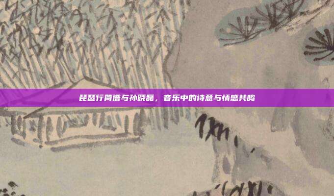 琵琶行简谱与孙晓磊，音乐中的诗意与情感共鸣