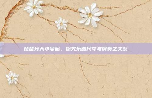 琵琶分大小号码，探究乐器尺寸与演奏之关系