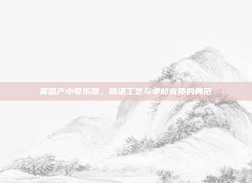 美国产小号乐器，精湛工艺与卓越音质的典范