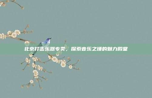 北京打击乐器专卖,探索音乐之锤的魅力殿堂
