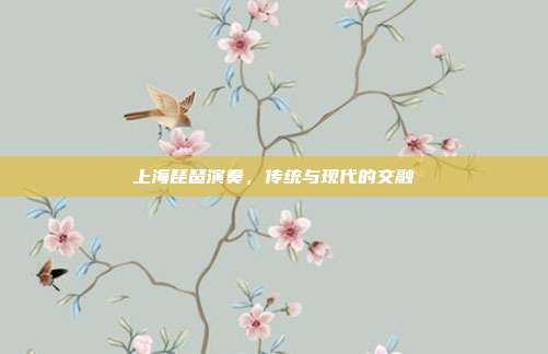 上海琵琶演奏,传统与现代的交融