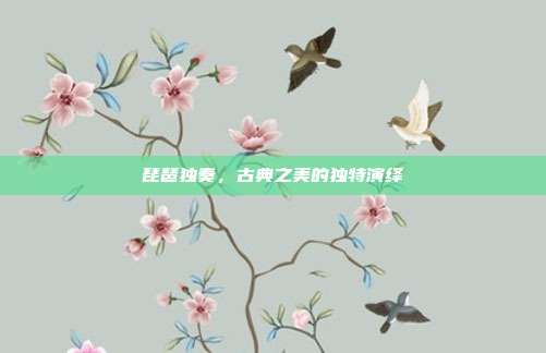 琵琶独奏，古典之美的独特演绎