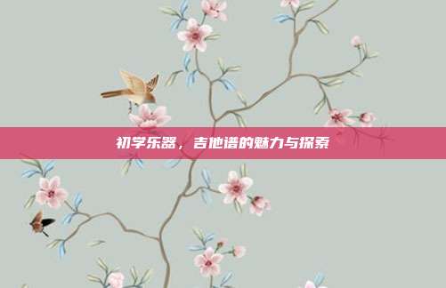 初学乐器，吉他谱的魅力与探索