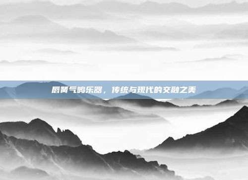 唇簧气鸣乐器，传统与现代的交融之美