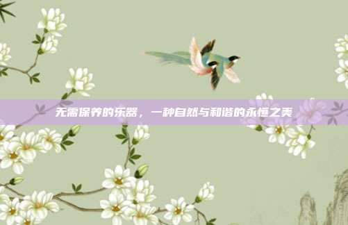 无需保养的乐器，一种自然与和谐的永恒之美