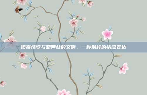 傣寨情歌与葫芦丝的交响，一种别样的情感表达