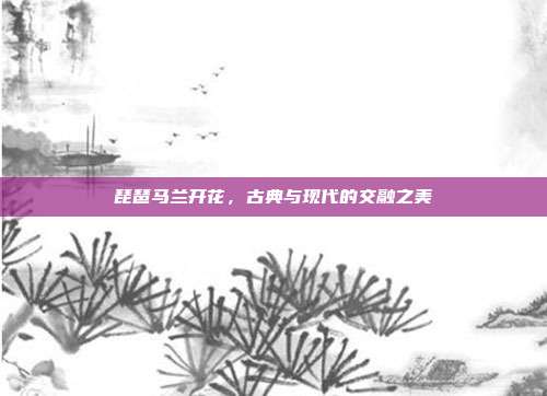 琵琶马兰开花,古典与现代的交融之美