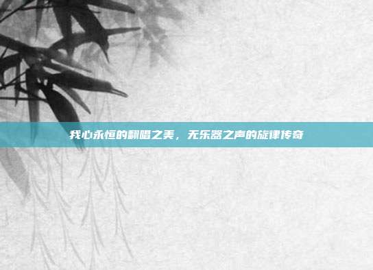 我心永恒的翻唱之美,无乐器之声的旋律传奇