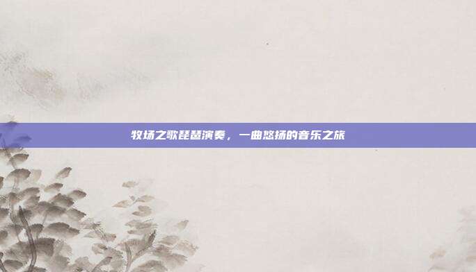 牧场之歌琵琶演奏，一曲悠扬的音乐之旅