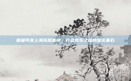 质量可靠上海乐器直销，打造音乐之路的坚实基石