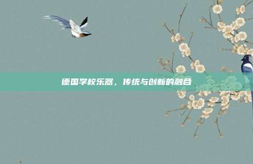 德国学校乐器,传统与创新的融合