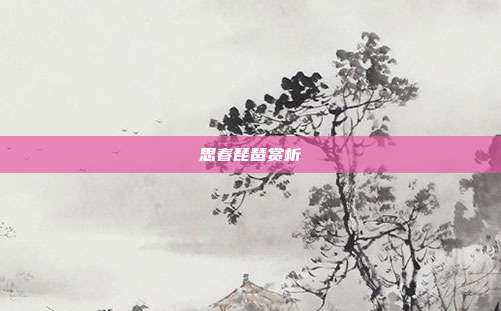 思春琵琶赏析