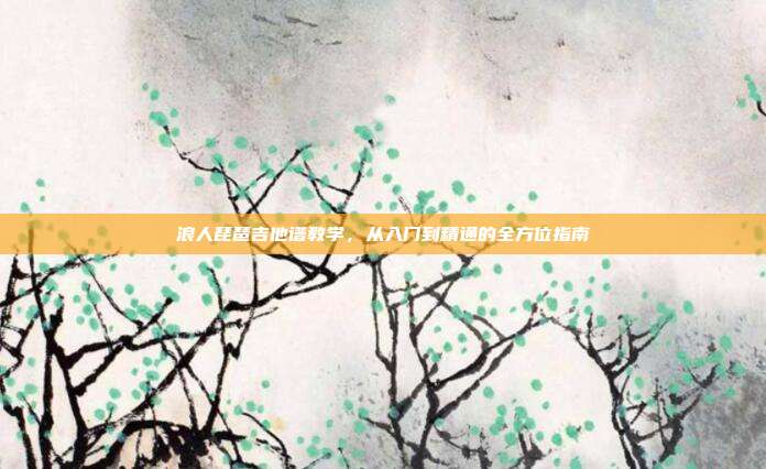 浪人琵琶吉他谱教学,从入门到精通的全方位指南