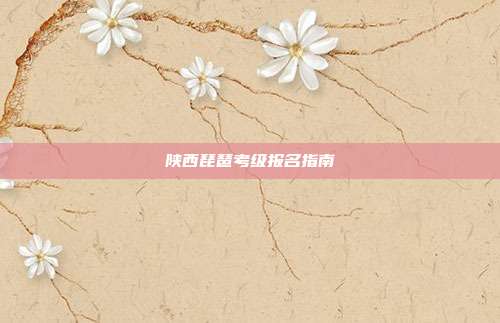 陕西琵琶考级报名指南