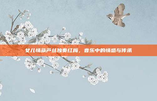 女儿情葫芦丝独奏红梅，音乐中的情感与传承