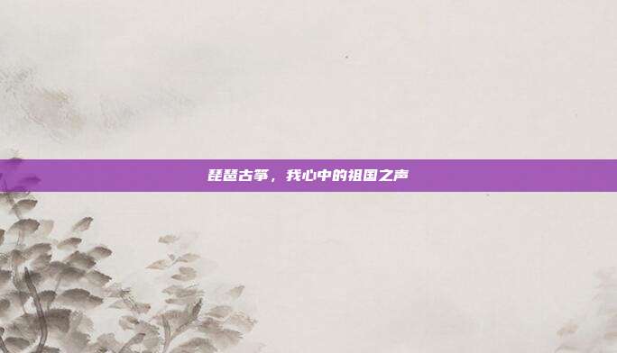 琵琶古筝,我心中的祖国之声