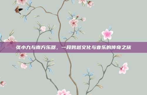 张小九与南方乐器，一段跨越文化与音乐的传奇之旅