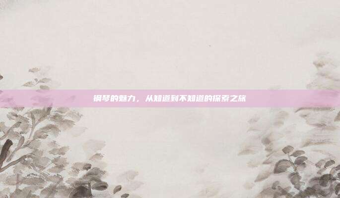钢琴的魅力,从知道到不知道的探索之旅