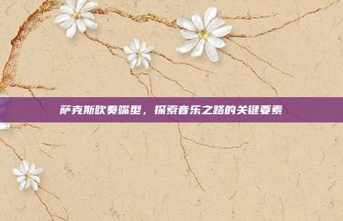 萨克斯吹奏嘴型,探索音乐之路的关键要素