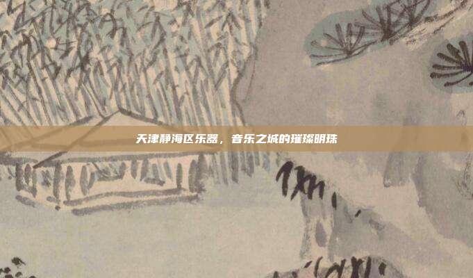 天津静海区乐器,音乐之城的璀璨明珠