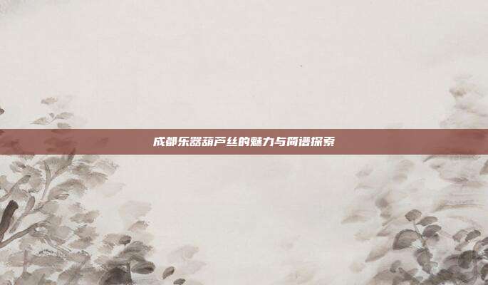 成都乐器葫芦丝的魅力与简谱探索