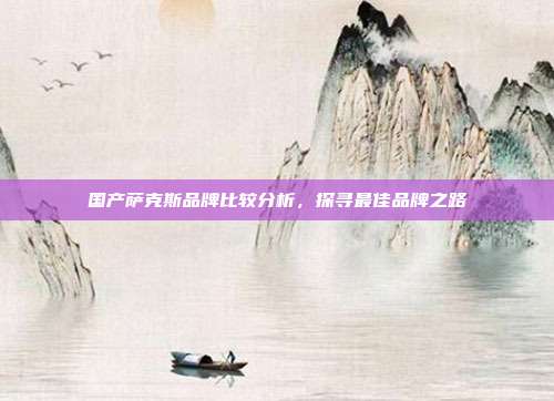 国产萨克斯品牌比较分析，探寻最佳品牌之路