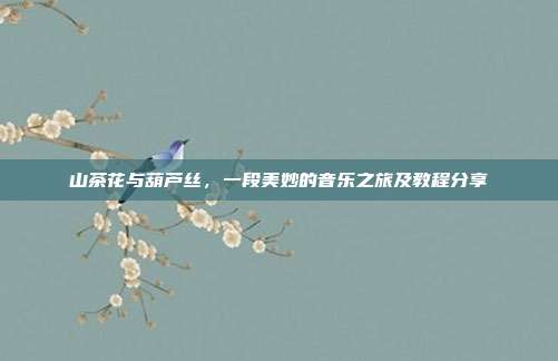 山茶花与葫芦丝，一段美妙的音乐之旅及教程分享
