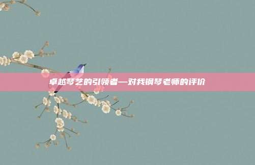 卓越琴艺的引领者—对我钢琴老师的评价