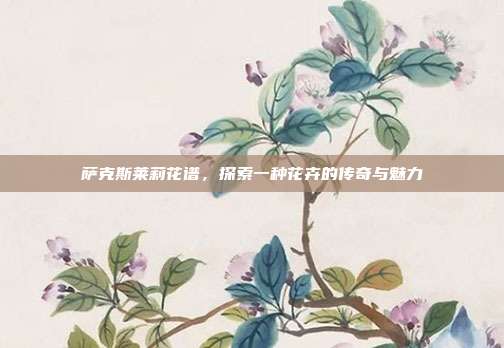 萨克斯莱莉花谱，探索一种花卉的传奇与魅力