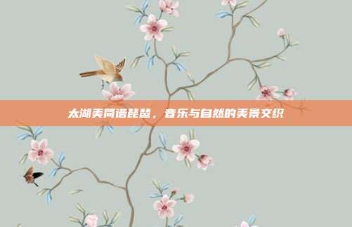 太湖美简谱琵琶,音乐与自然的美景交织