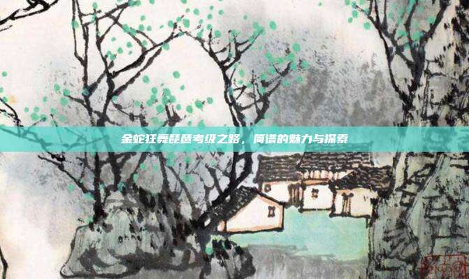 金蛇狂舞琵琶考级之路，简谱的魅力与探索