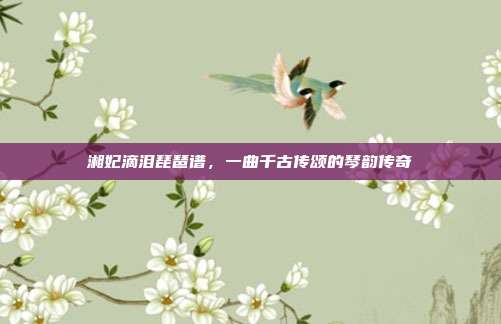 湘妃滴泪琵琶谱，一曲千古传颂的琴韵传奇