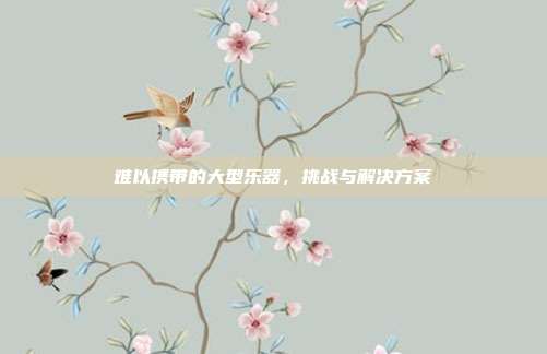 难以携带的大型乐器,挑战与解决方案